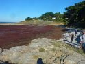 2015-09-28 10-57-56 St Gildas-Chemin des douaniers MBo